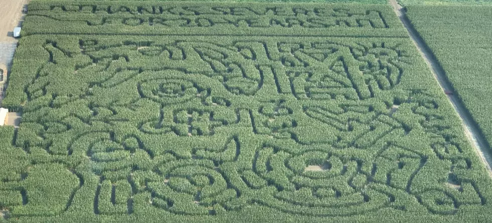 The Corn Maze Opens On Labor Day