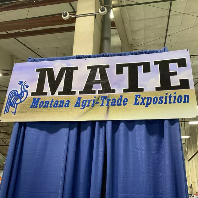 MATE Show, Home and Health Expo at Metra This Week