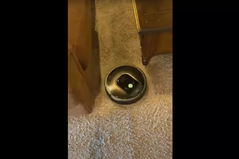 Introducing My Newest Employee: IKA-Roomba! [VIDEO]