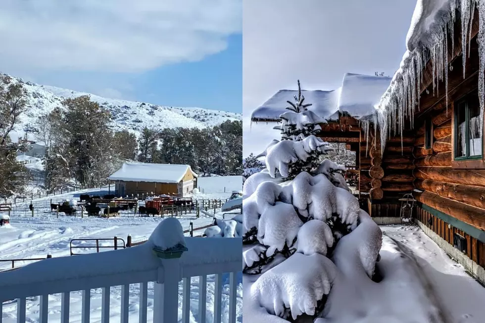 Here's What the Montana Weekend Snowfall Looked Like (PHOTOS)
