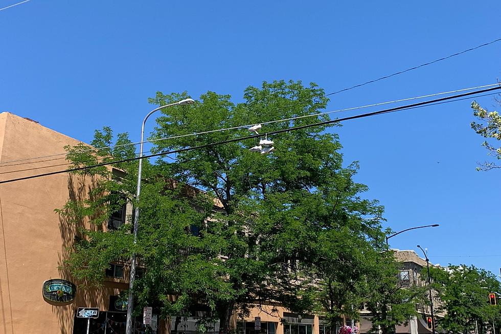 Why Are Sneakers Hanging Over Powerlines in Billings?