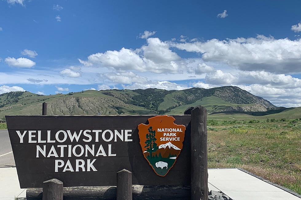 Yellowstone Just Shattered A Park Attendance Record