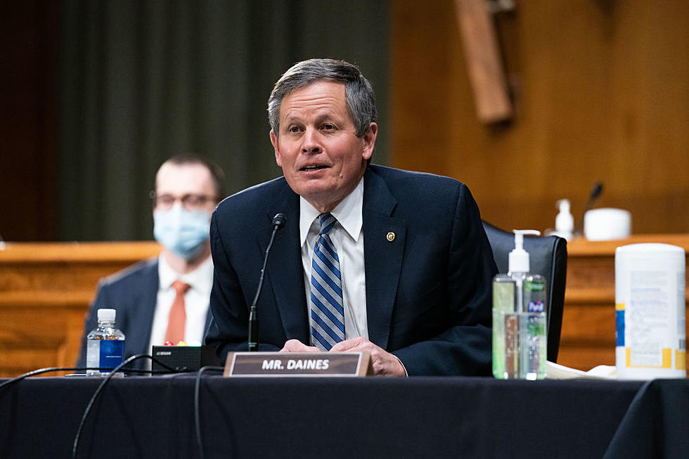 I Received a Response from Senator Daines&#8217; Office. Here&#8217;s Why I&#8217;m Still Disappointed