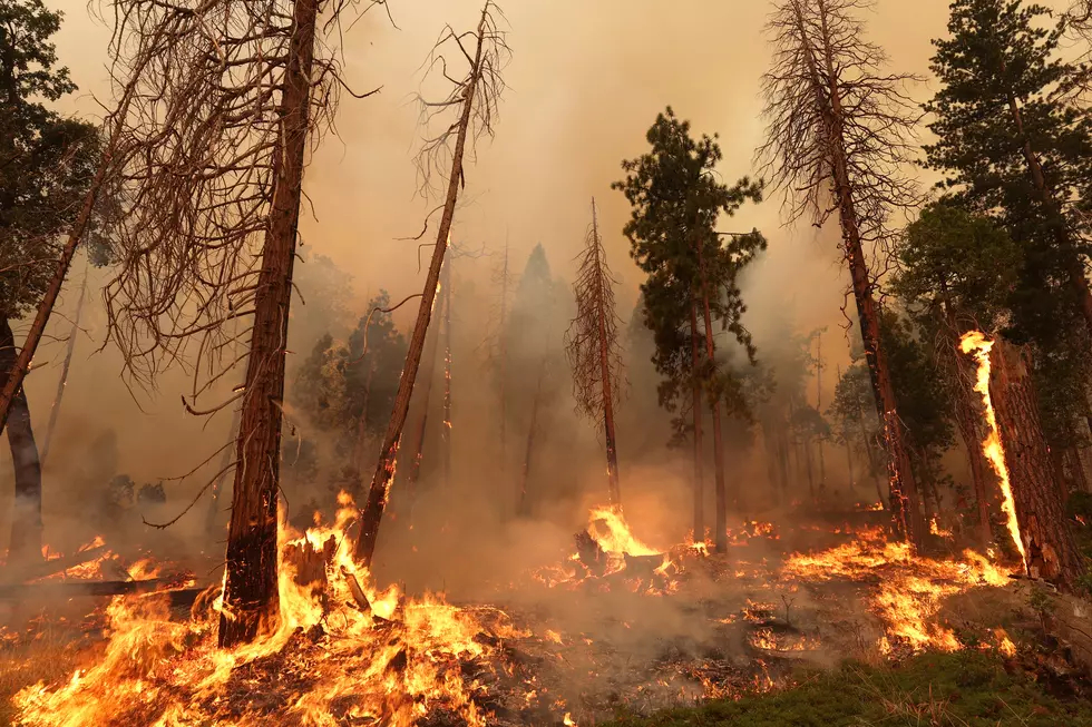 Human Intervention Doesn't Always Help The West That's On Fire