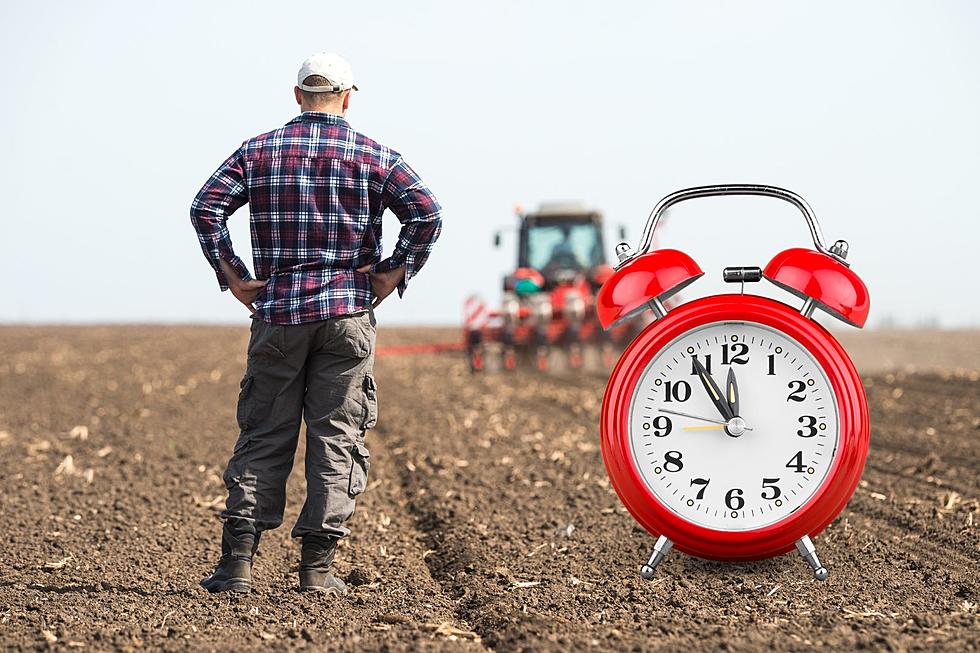 The Farmer Scoffs at the Notion of a 4-Day Workweek