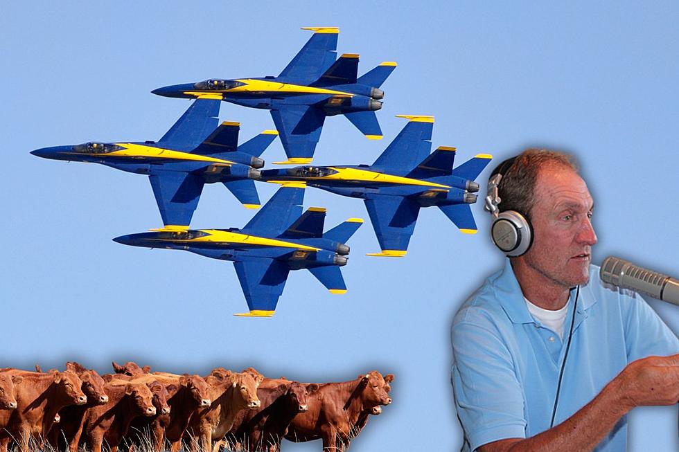 Paul’s Cows Might Have Tried To Wave At The Blue Angels Yesterday