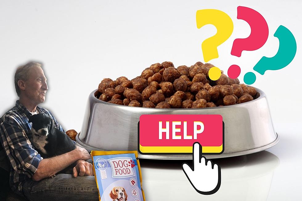 Paul Is Looking For Dog Food Advice. Please Help!