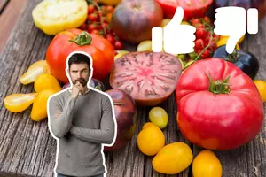 To Tomato or Not to Tomato: A Culinary Conundrum