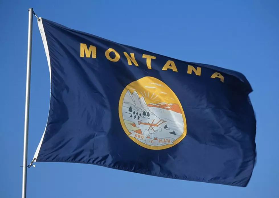 Viewpoint: Constitutional fixes are part of Montana's democracy