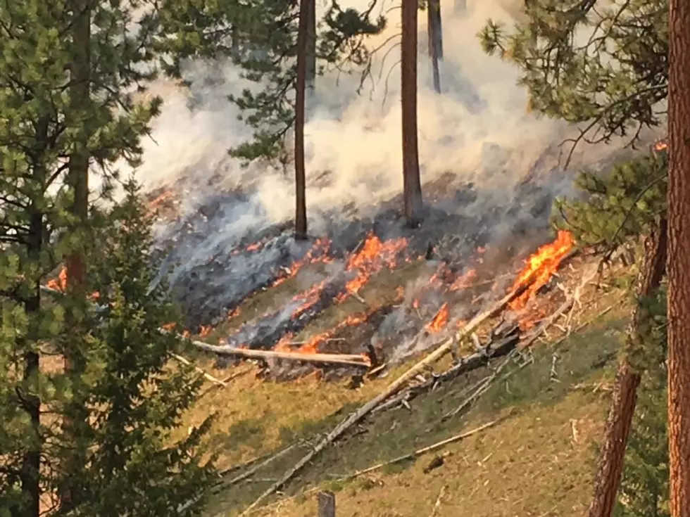 Viewpoint: Groups successfully halt grazing, burning in the Elkhorn Wildlife Management Area