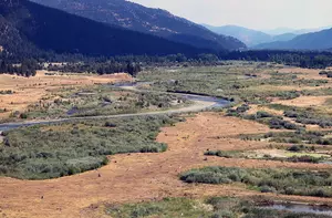 Wood-products pollution found at numerous Clark Fork locations