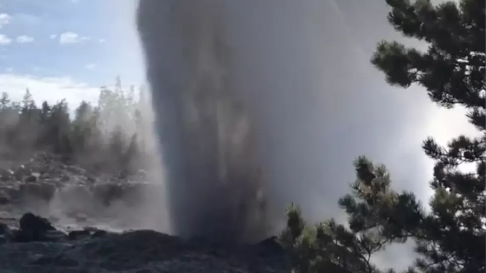 Yellowstone National Park: Steamboat Geyser logs 48th eruption in 2019