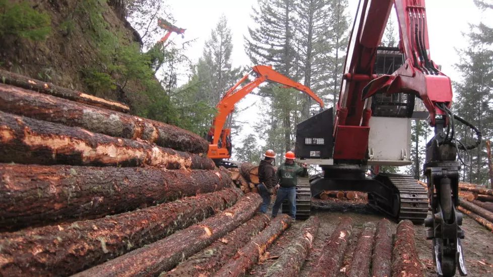 Oregonians express mixed feelings about benefits of logging