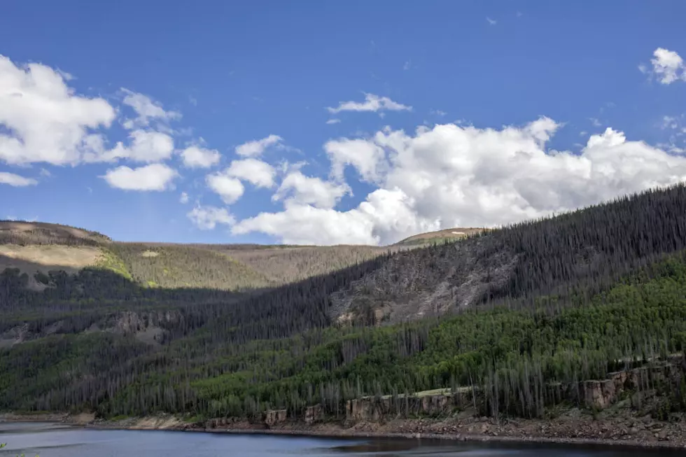 Drought, plague and fire: What one Colorado forest is up against