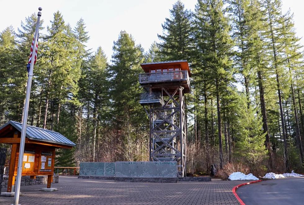 Tillamook Forest Center reopens for tours after three-years