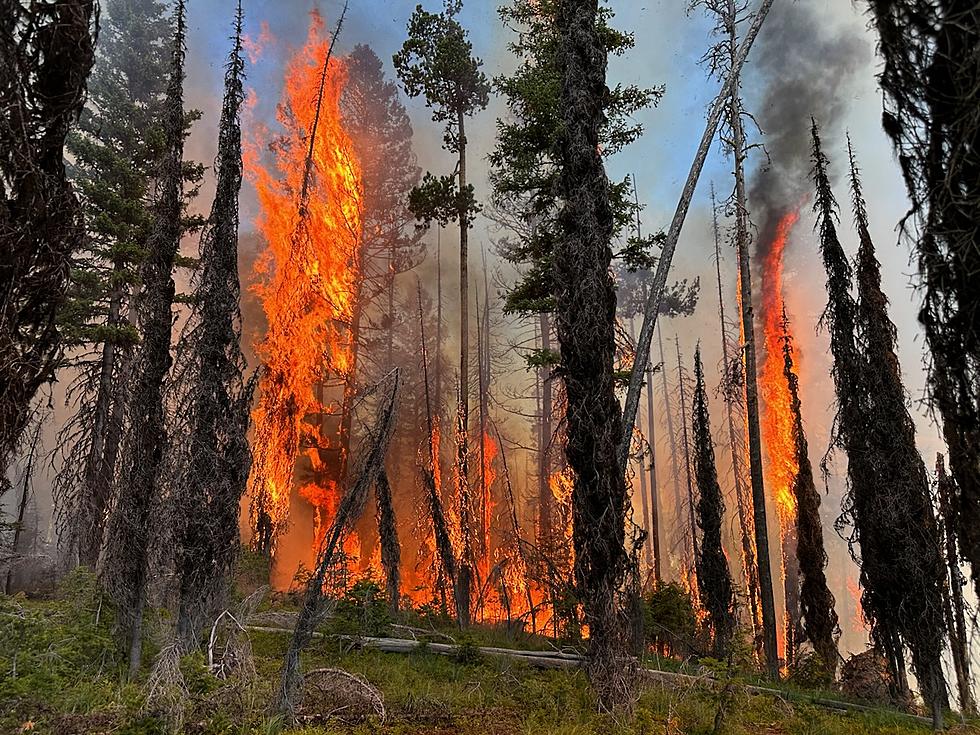 UM researchers: Let small wildfires burn to diminish large fires