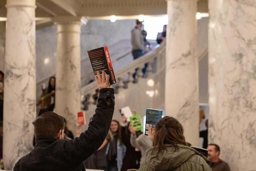 Idaho Senate could remove ‘harmful materials’ from libraries