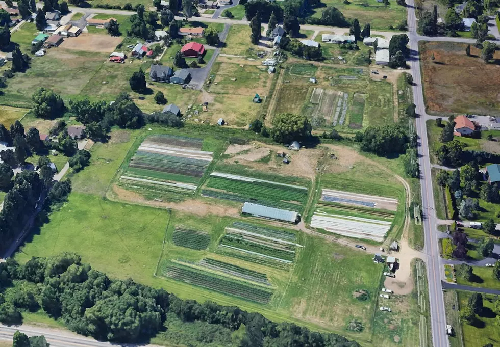 Corner Farm project seeks funding from Missoula's open space bond