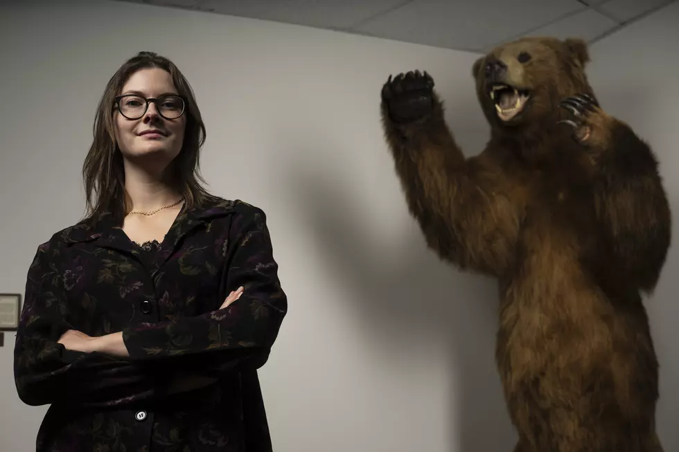 UM wildlife grad finds inspiration in grizzly bear study