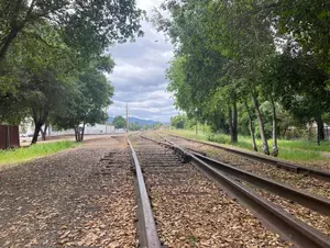 Rail to trail: Cal plans Great Redwood Trail along defunct RR rou