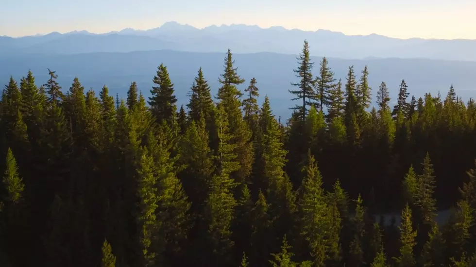 WaState to acquire 9,700 acres of forestland in Central Cascades