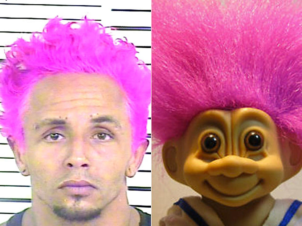 Troll Doll Lookalike Arrested – Check Out the Amazing Mugshot