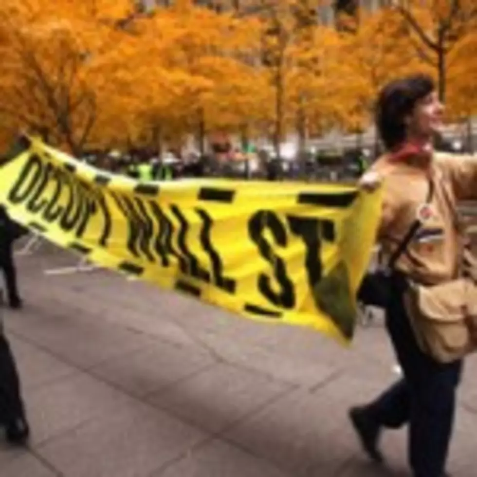 Occupy Wall Street: Zuccotti Park Cleared!  Good or Bad