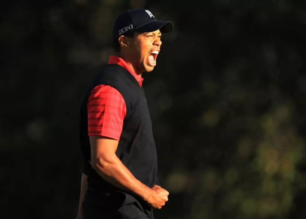 Tiger Got His Groove Back