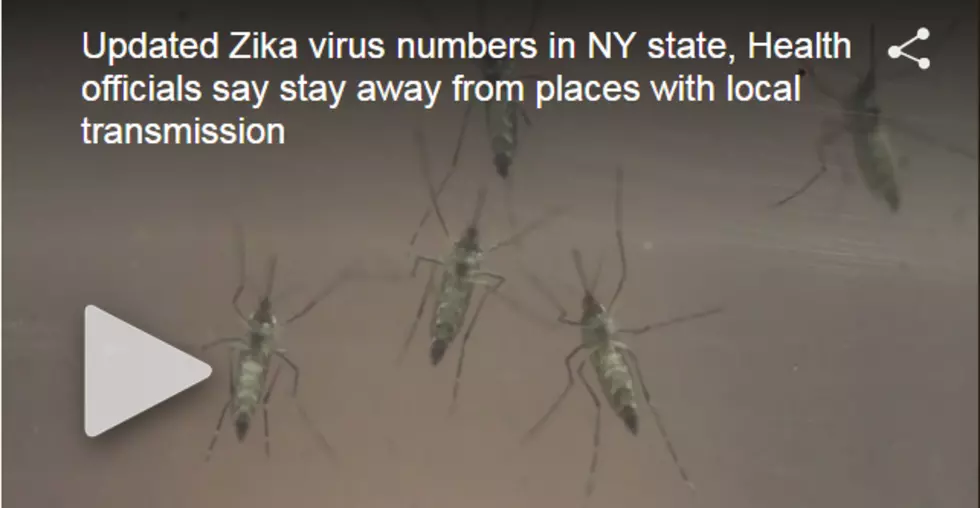 NY Zika Numbers Increase!