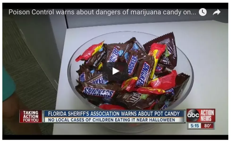 Parents&#8230;Be Aware of Marijuana Laced Halloween Candy! [VIDEO]