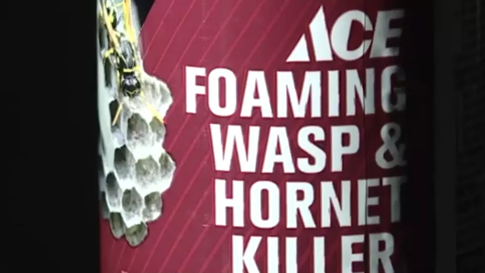 Teens are Using Wasp Killer to Get High