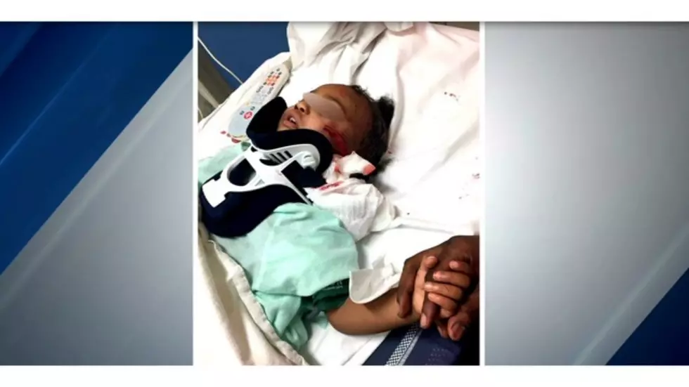Buffalo Police Investigating after Baby was Attacked by Pitbull
