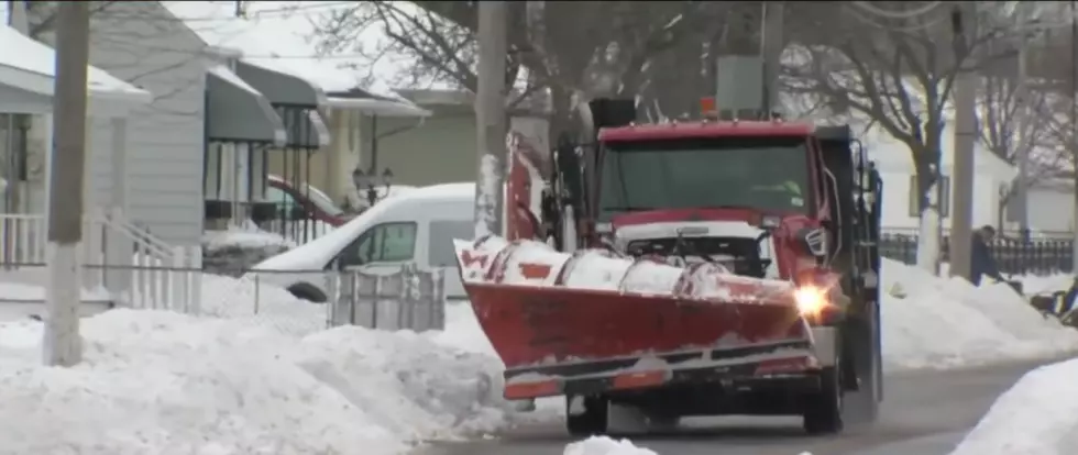 Did You See the Buffalo Snowplow Rodeo?