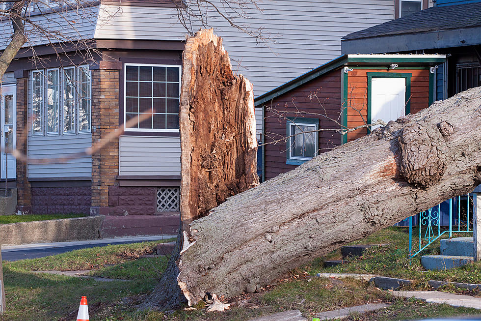 Windstorm Blows In To Buffalo and Wreaks Havoc Across WNY