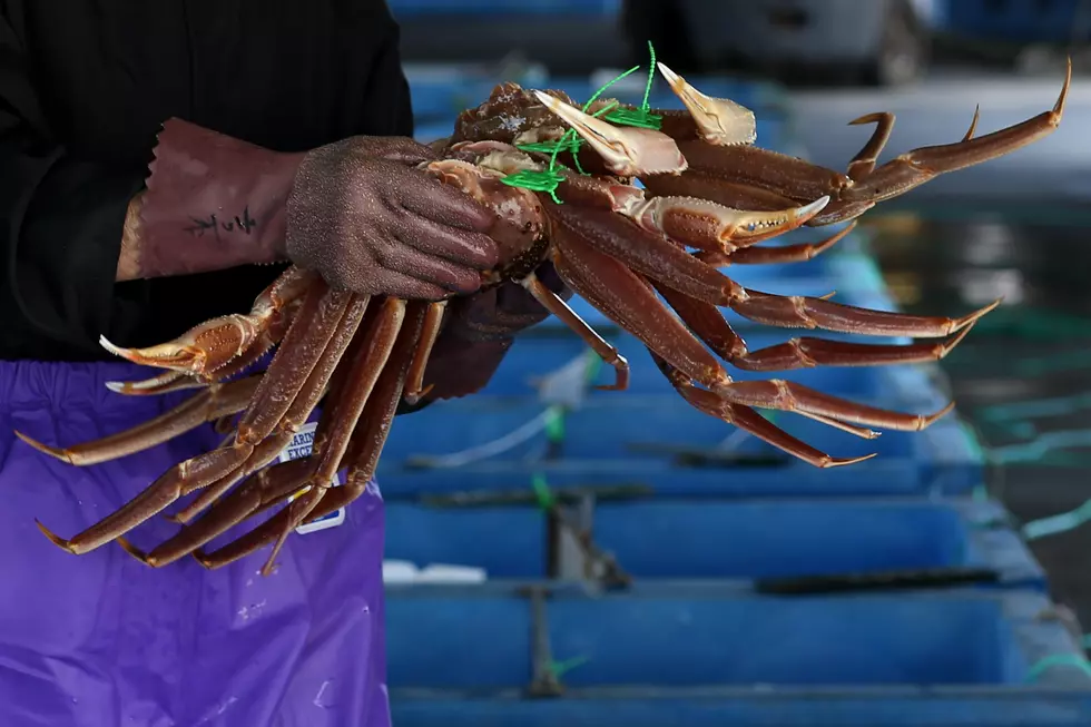 Cancelled: No More Eating Alaskan Snow Or King Crabs In New York State?