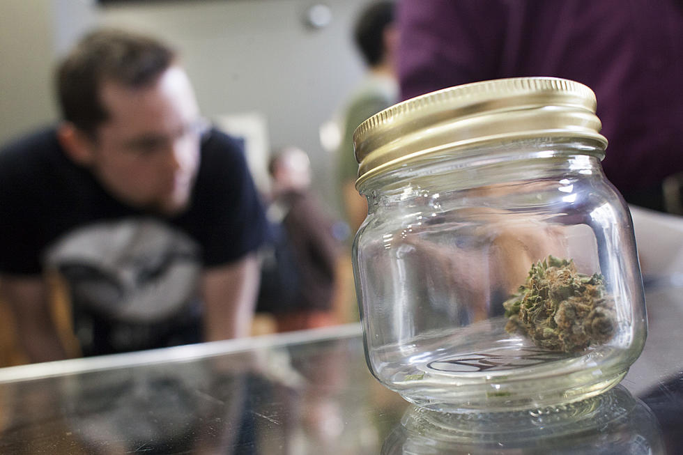 NY Approves 4 Cannabis Dispensary Licenses In WNY