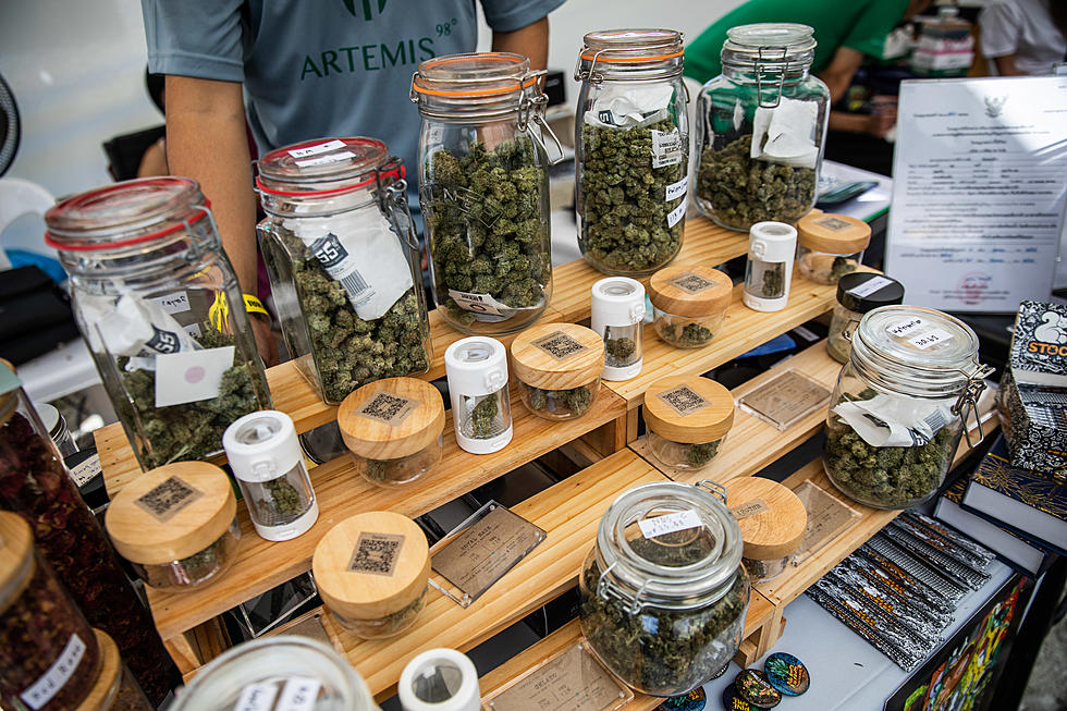 Massive Cannabis Festival Happening This Fall In NY