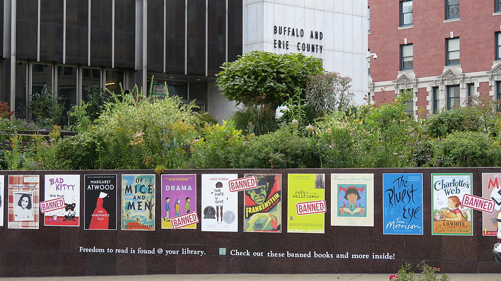 Here’s What Your Library Is Doing About Banned Books In New York