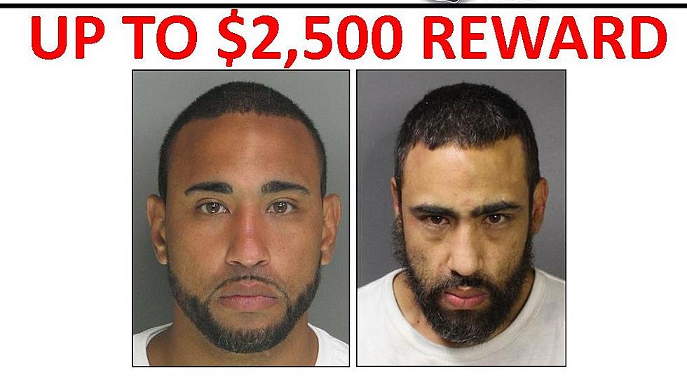 Crime Stoppers WNY Is Offering Rewards For Leads In These 7 Cases