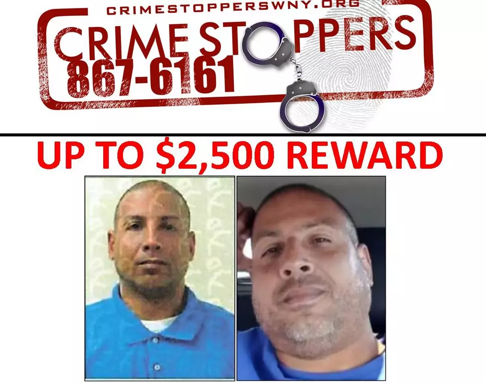 Crime Stoppers WNY Is Offering Rewards In These 9 Cases