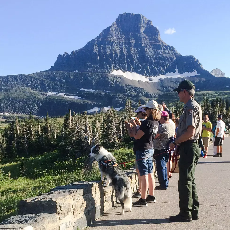 Glacier National Park is Modifying Operations