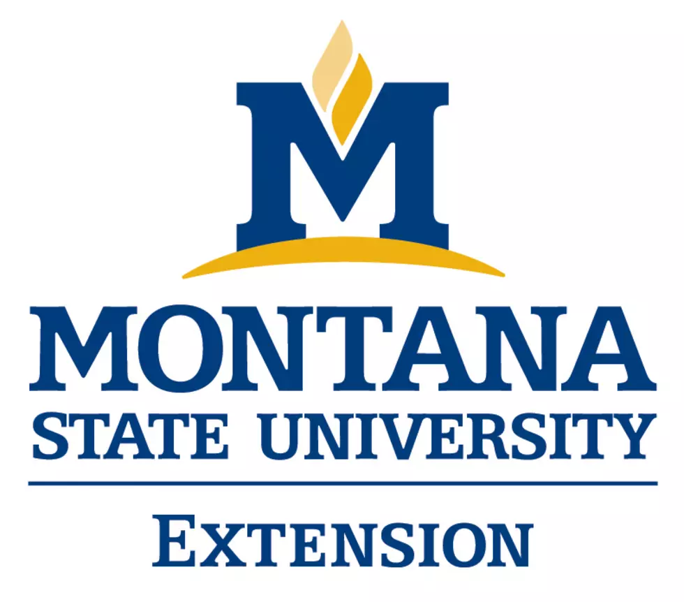 MSU Extension Invites You to THRIVE