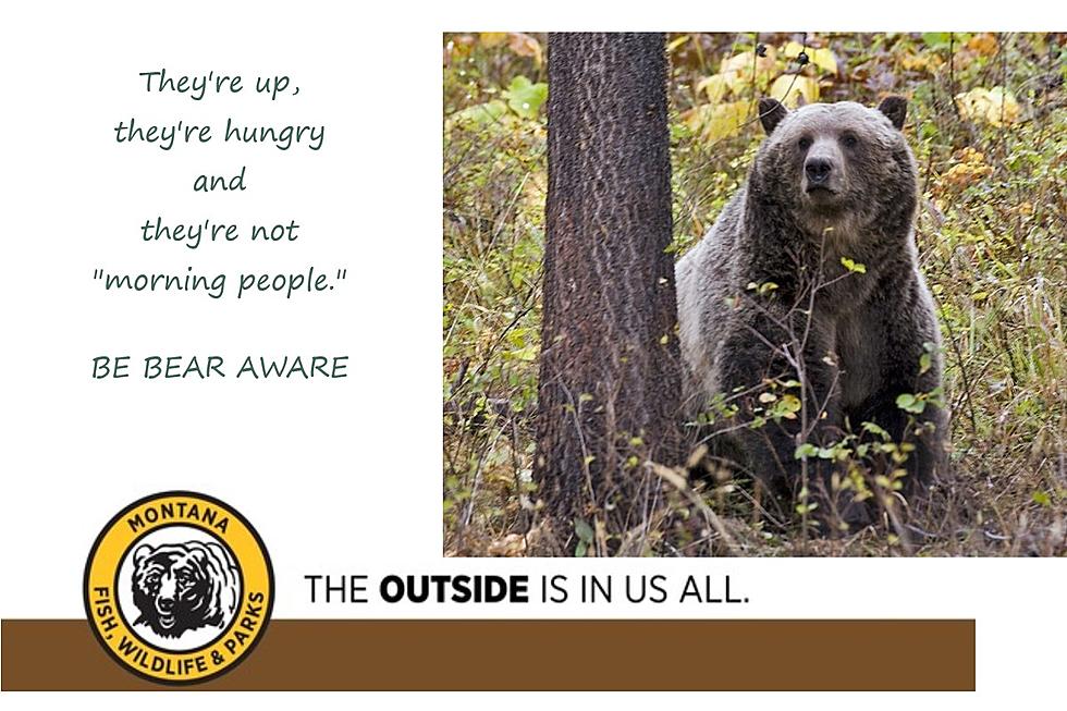 Montana FWP: Be “Bear Aware”