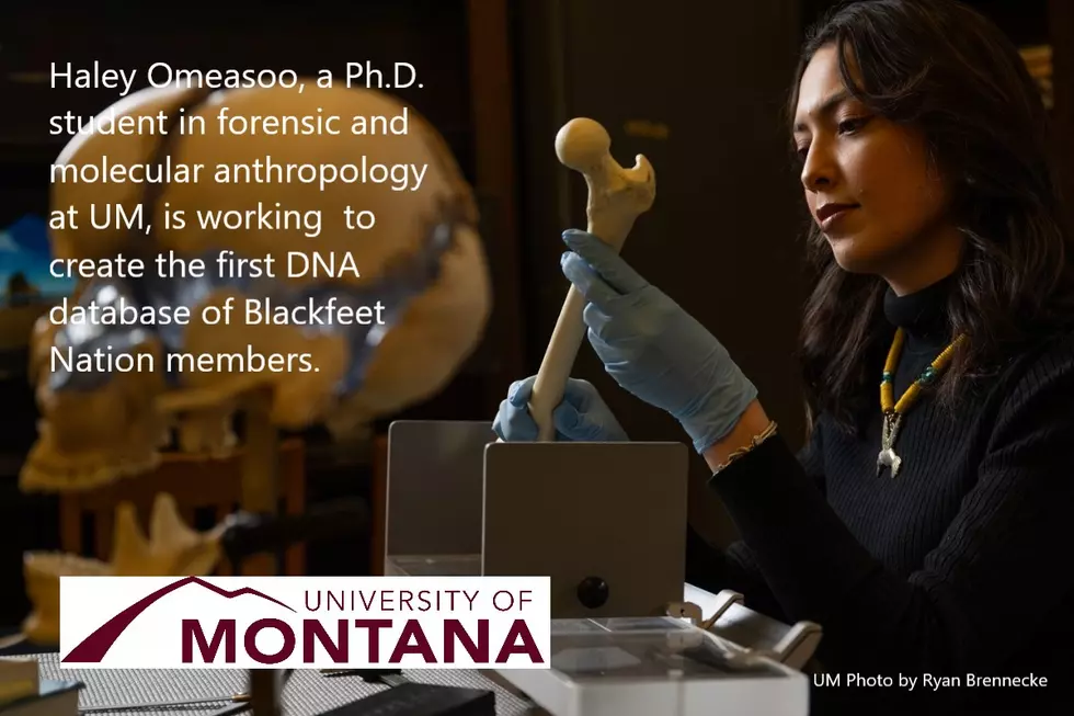UM&#8217;s Haley Omeasoo Works to Build Blackfeet DNA Database