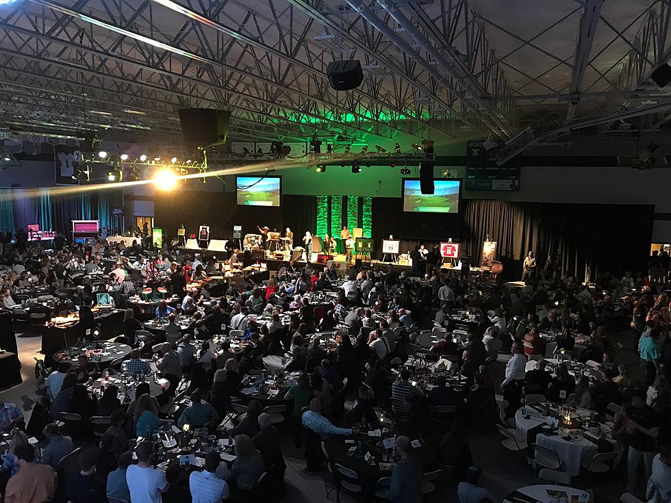 It is time for the Montana Tech Oredigger Auction