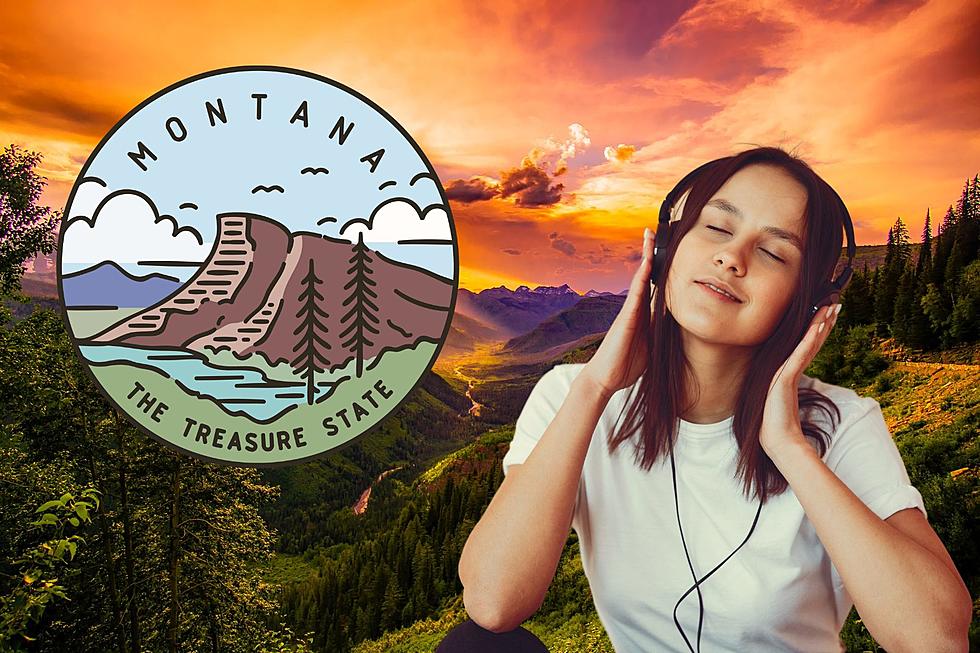 The Top 10 Best Songs That Are About Montana
