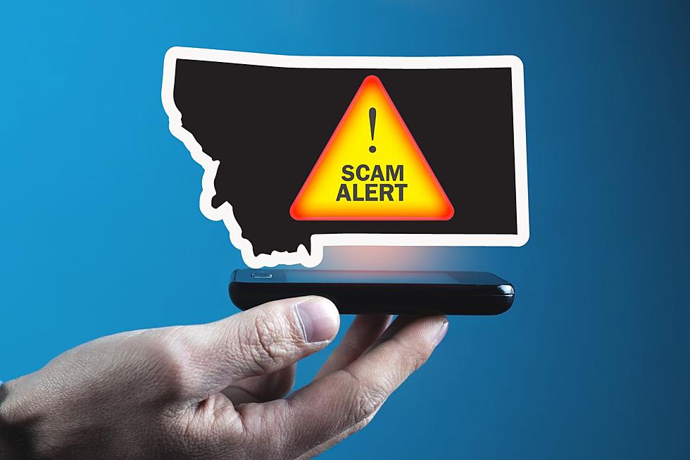 Sadly, Montanans Keep Falling For These 6 Sleazy Scams