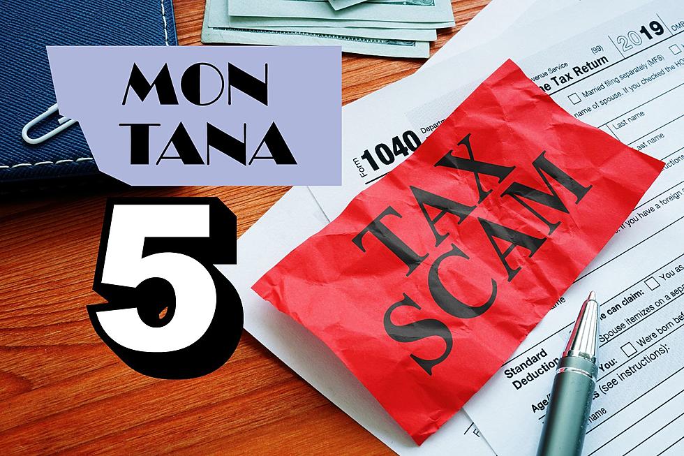 Five Easy Ways To Not Get Tax Scammed In Montana