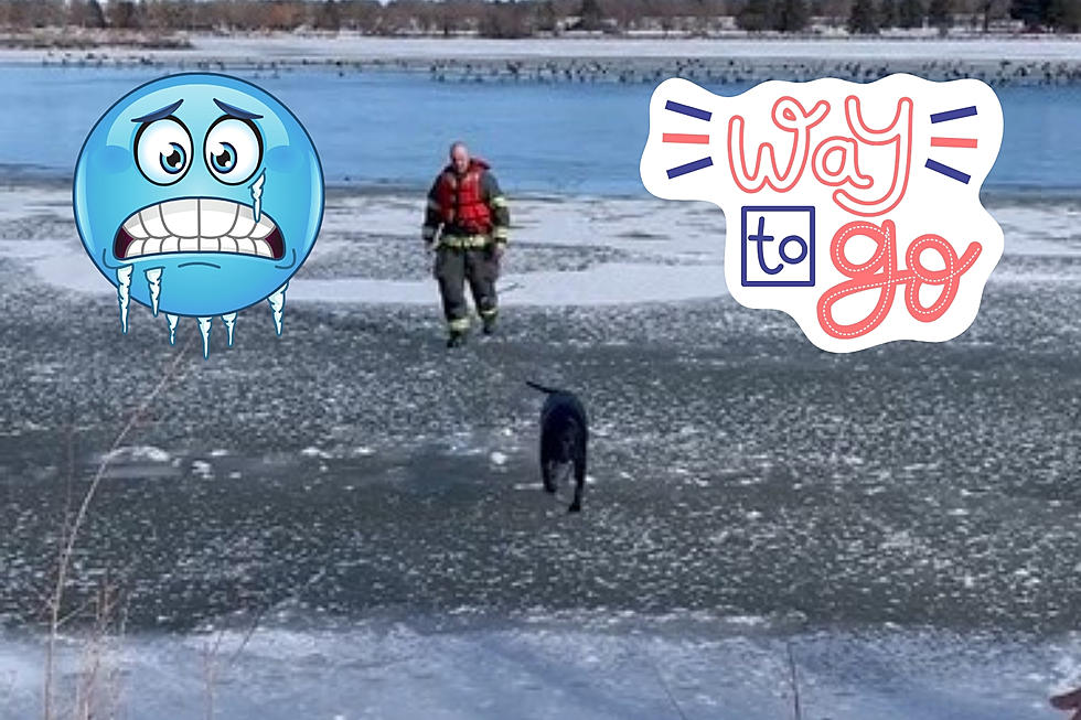 Great Falls Fire Rescue Saves Frozen Puppers