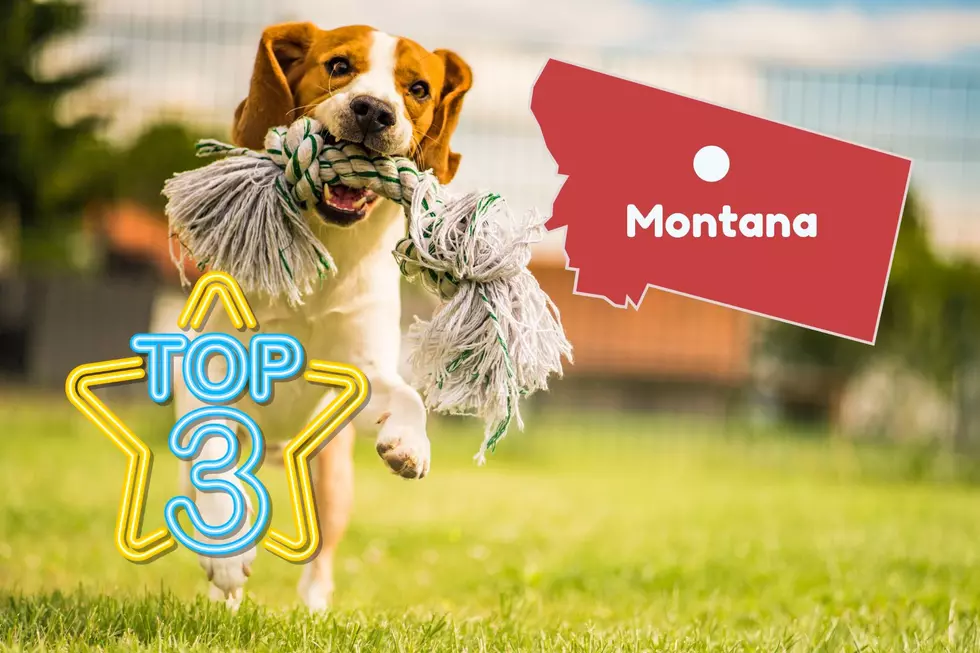 3 Montana Parks Named Best ‘Hidden Gems’ For Dogs